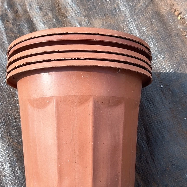 塑料口径20高度19红砖一组12个