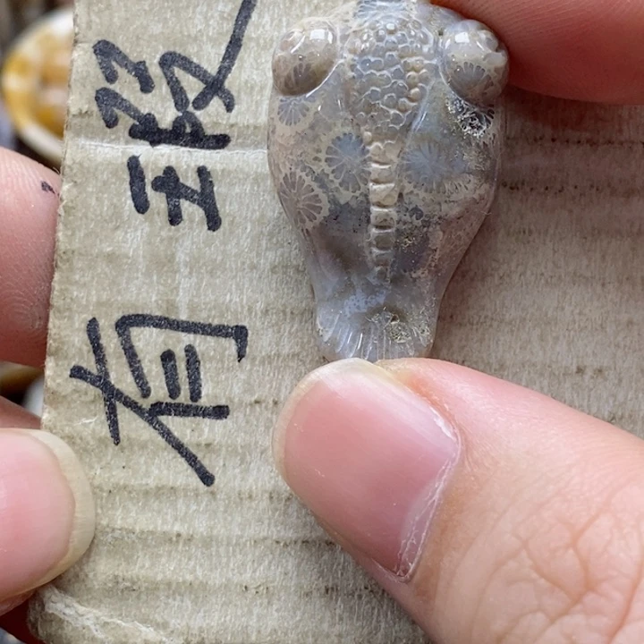 硅化珊瑚（珊瑚玉）颈饰未镶嵌吃****