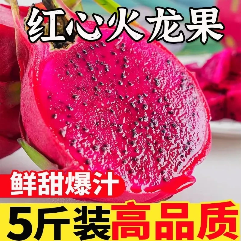 红心火龙果 现摘现发 金都一号批新鲜水果