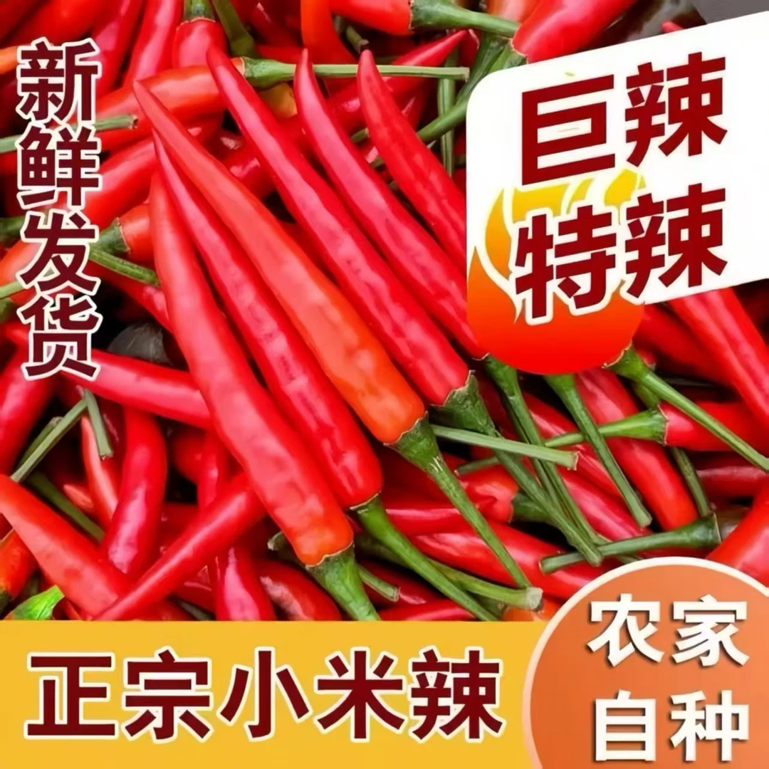 小米辣椒新鲜本地现摘特辣小米椒朝天椒薄皮红辣椒指天椒尖椒包邮