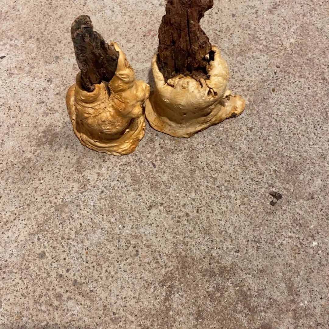 小***翠荔枝木随形木材两个