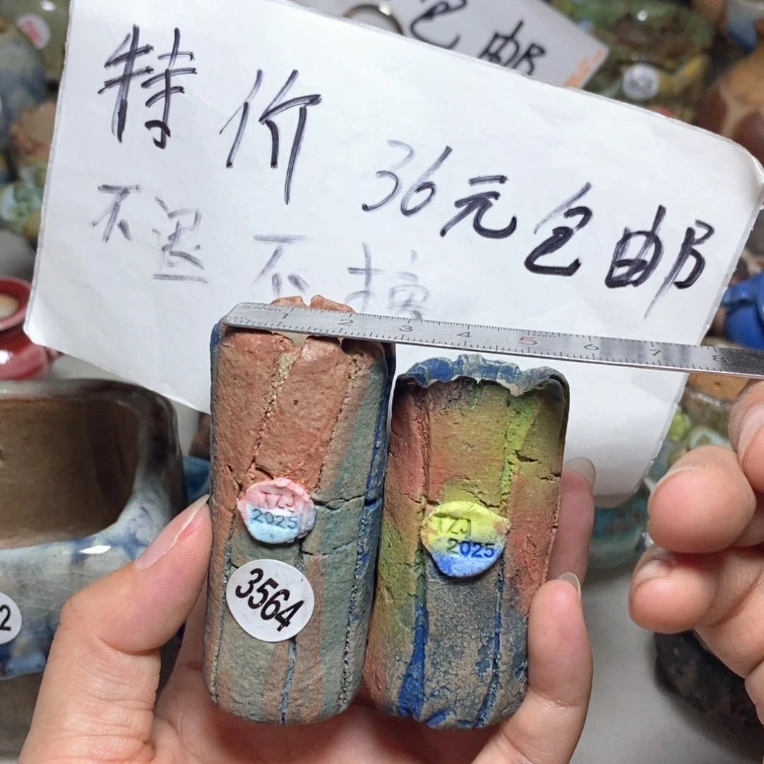 处理的，不退不换的