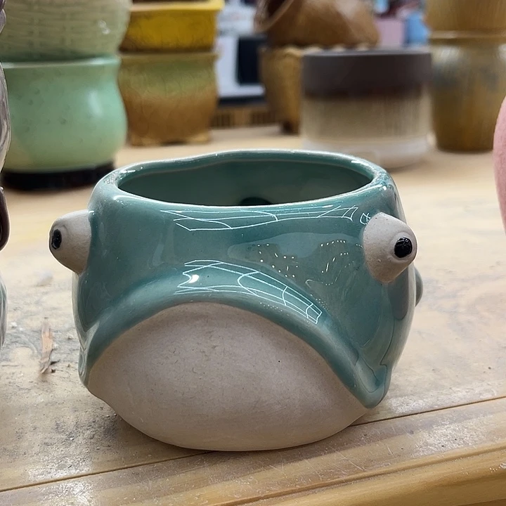 多肉植物陶瓷花盆