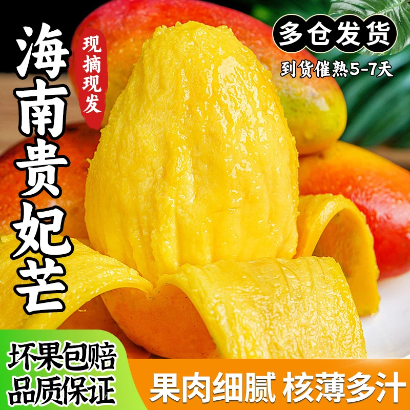 【催熟食用】海南贵妃芒2斤新鲜水果应当季红金龙芒果多仓发货