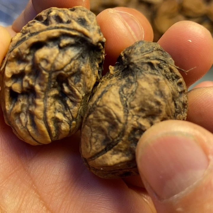 桃核吊坠拿姐开心3