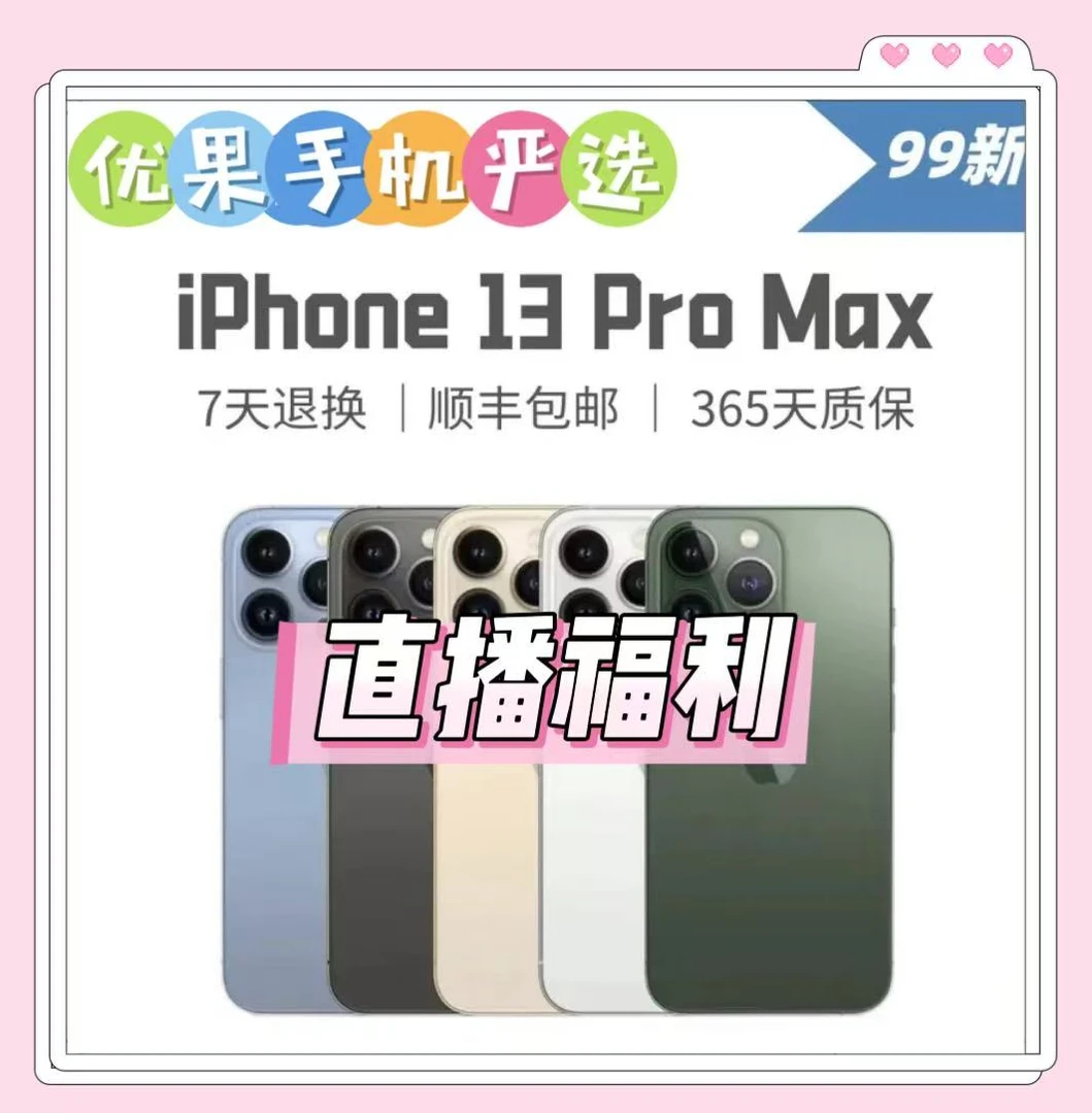 95新 Apple/苹果 13promax国行正品全网通5G双卡二手机三网