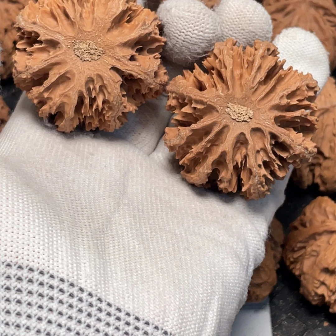 百***万桃核吊坠6 秦岭灯笼野生小众