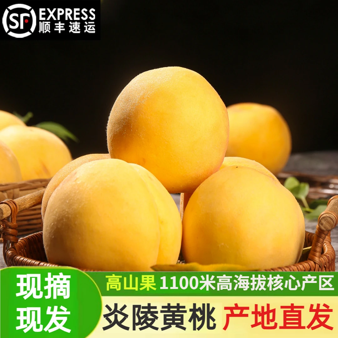 【正宗炎陵黄桃】红心黄桃高山果园新鲜现摘甜脆多汁5斤10斤礼盒装