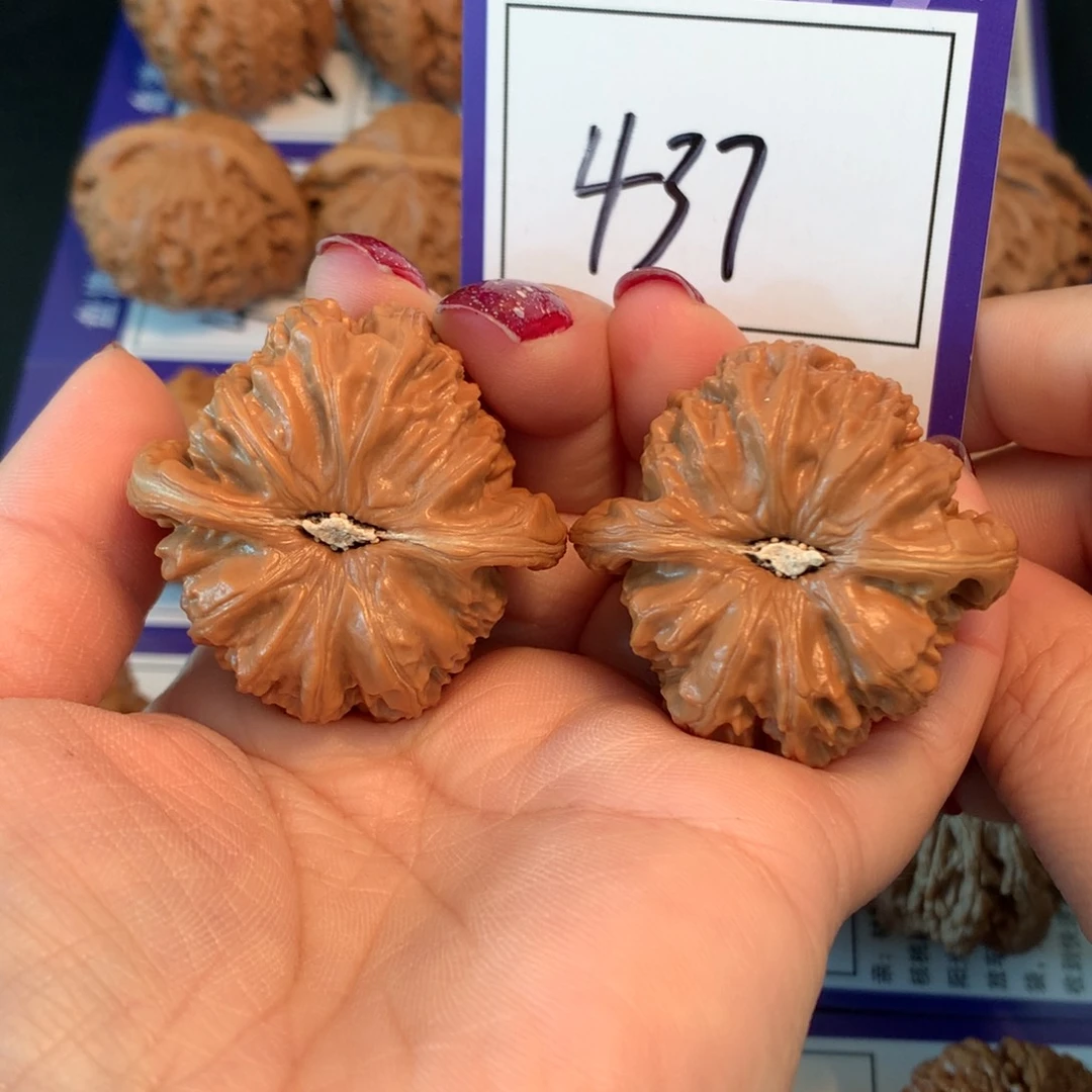 文玩核桃把件437白狮子4.0