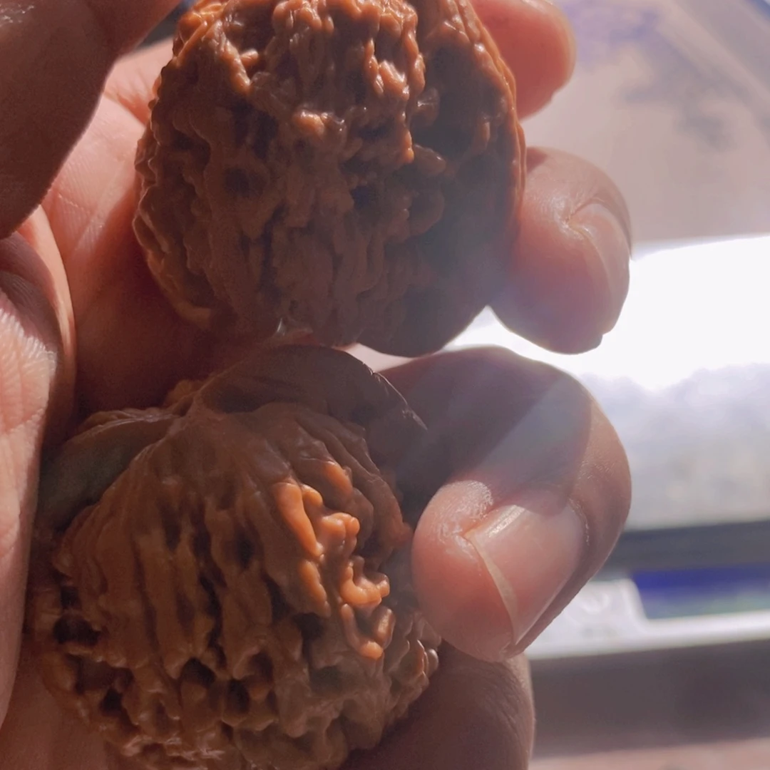 七***喜大叶紫檀（黑酸枝木类）文玩核桃粗筋蚂蚁