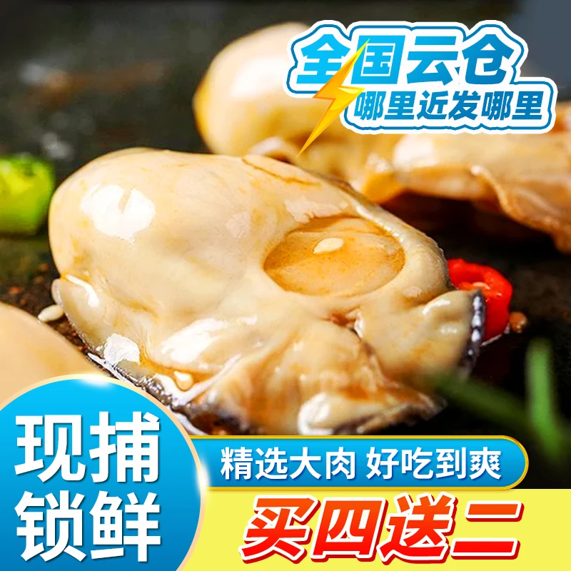【随意拼】④即食生蚝麻辣海鲜熟食麻辣生蚝麻辣小海鲜