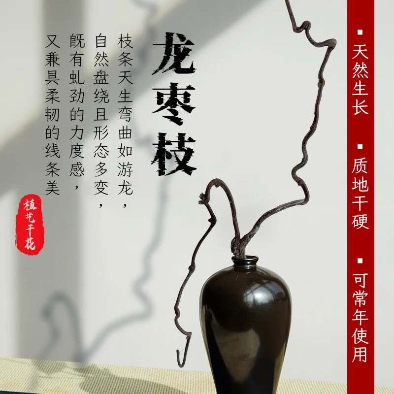 龙枣枝中日式插花材料天然干树枝侘寂风家居室内枯枝摆件造型装饰
