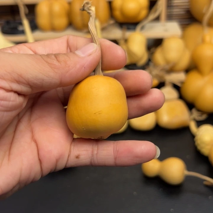 ?*?1256666666699369999