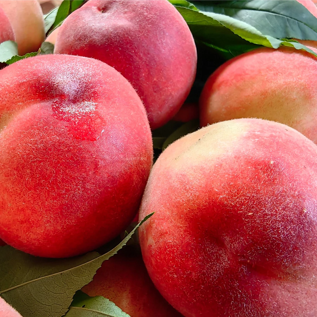 【红唇一吻】水蜜桃-惊喜生态桃滋味，一样惊艳的颜色和口感