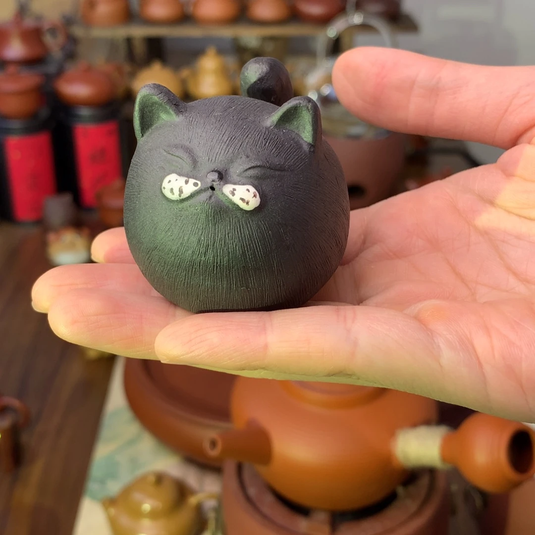 茶宠猫咪666666666