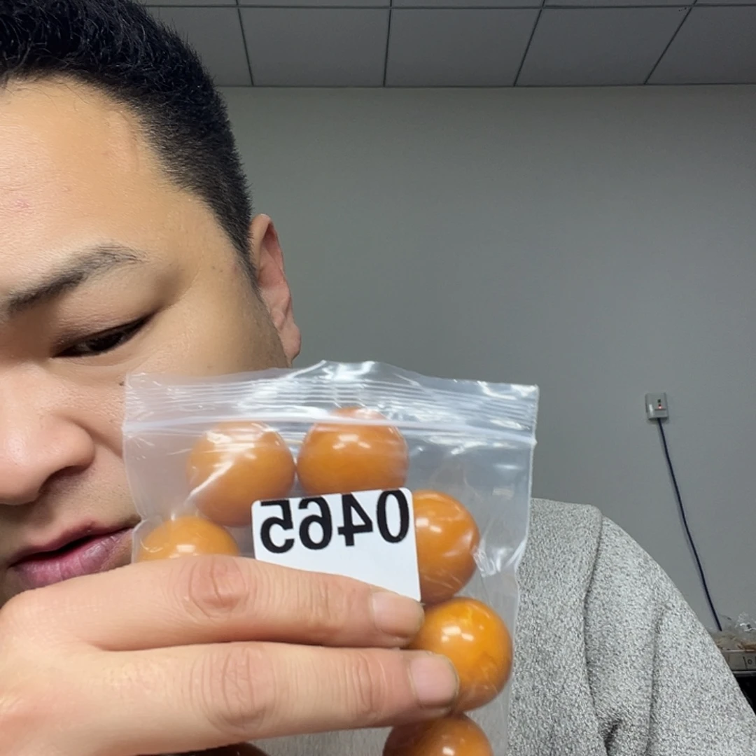 大果紫檀（缅甸花梨）0465