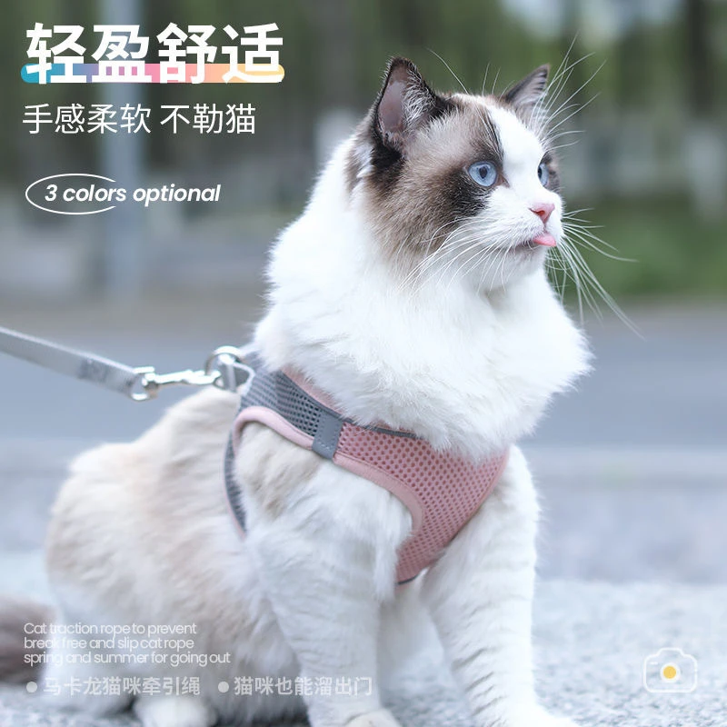 猫咪牵引绳可调节溜猫牵引绳猫绳子猫牵引防挣脱外出专用猫绳背带