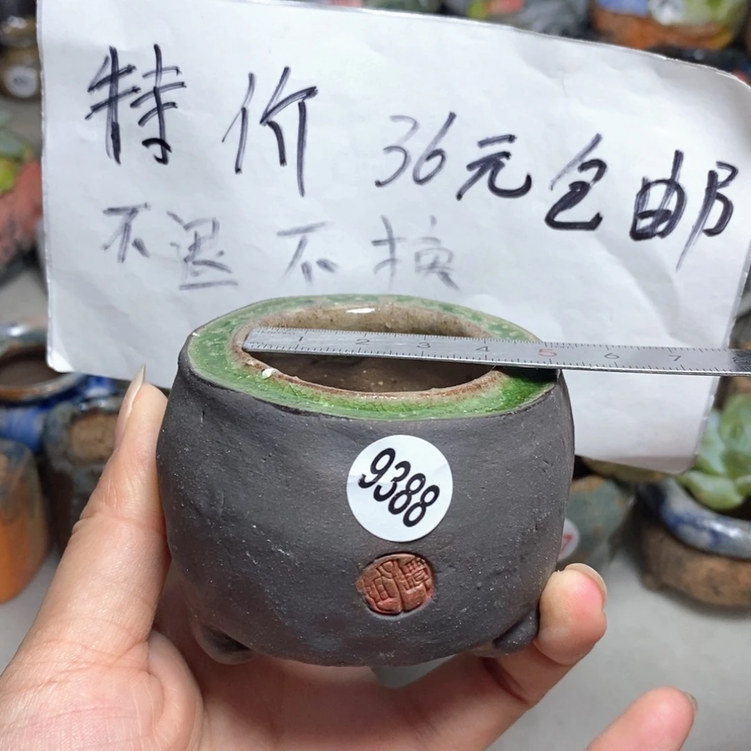 处理的，不退不换的