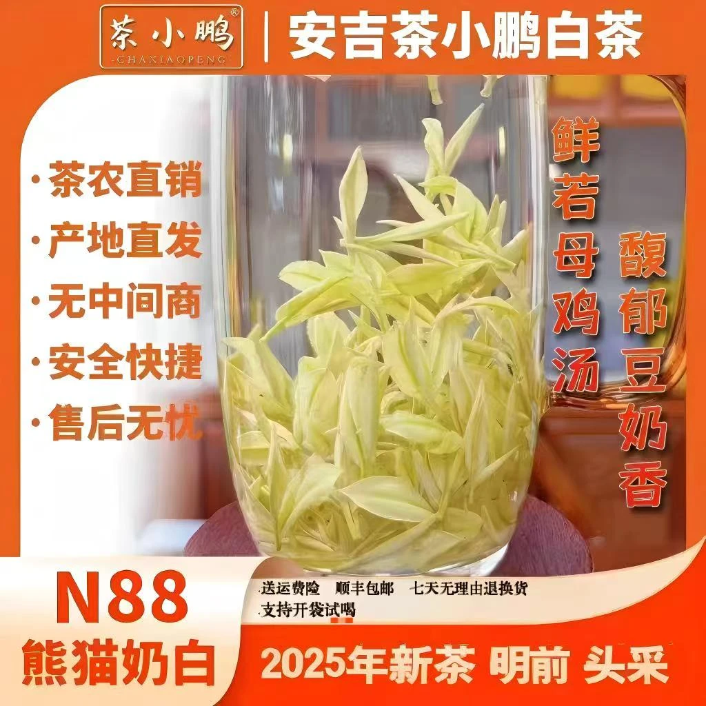 茶小鹏【N88熊猫奶白】安吉茶小鹏特级白茶 2025明前皇金芽馥郁奶香