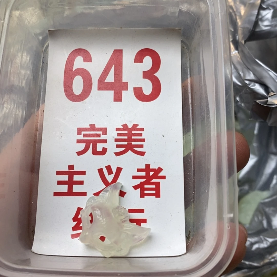 蛇纹石玉挂坠未镶嵌