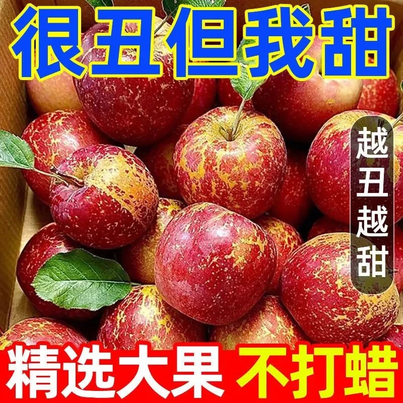 11斤大果2025新鲜水果云南昭通糖心苹果家庭装新鲜水果冰糖心苹果