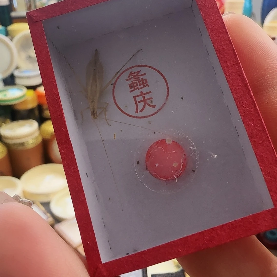 老***活柬竹2只啊啊啊啊啊