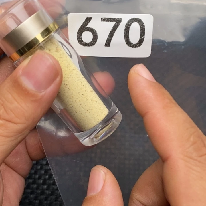 大果紫檀（缅甸花梨）