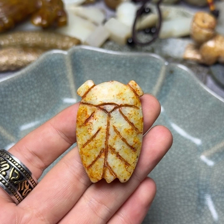 直播放漏专属链接64