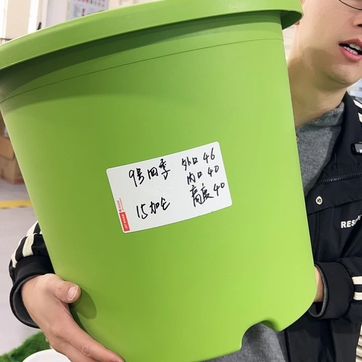 特价9号四季口46高40果绿无托4只