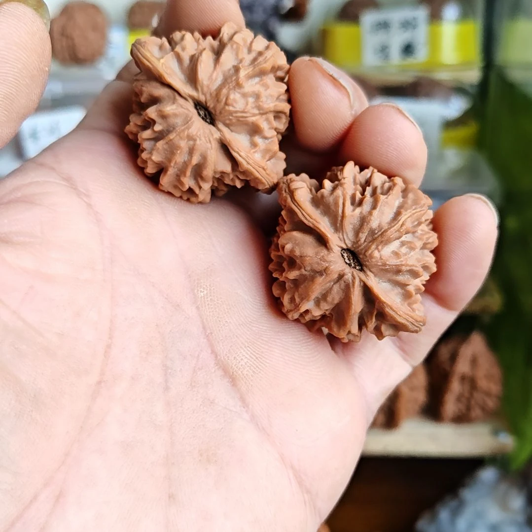 41加尺寸无名小众，骨质好