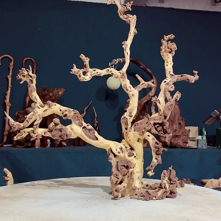 黑果木?****711金丝红木羊蹄甲半成品