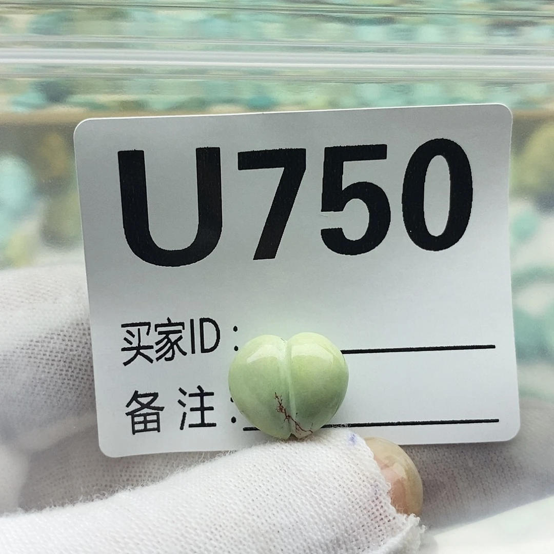未镶嵌绿松石配饰