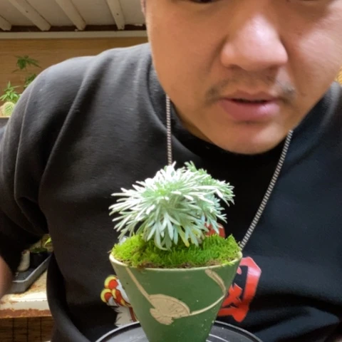 红陶一物一拍所见即所得170