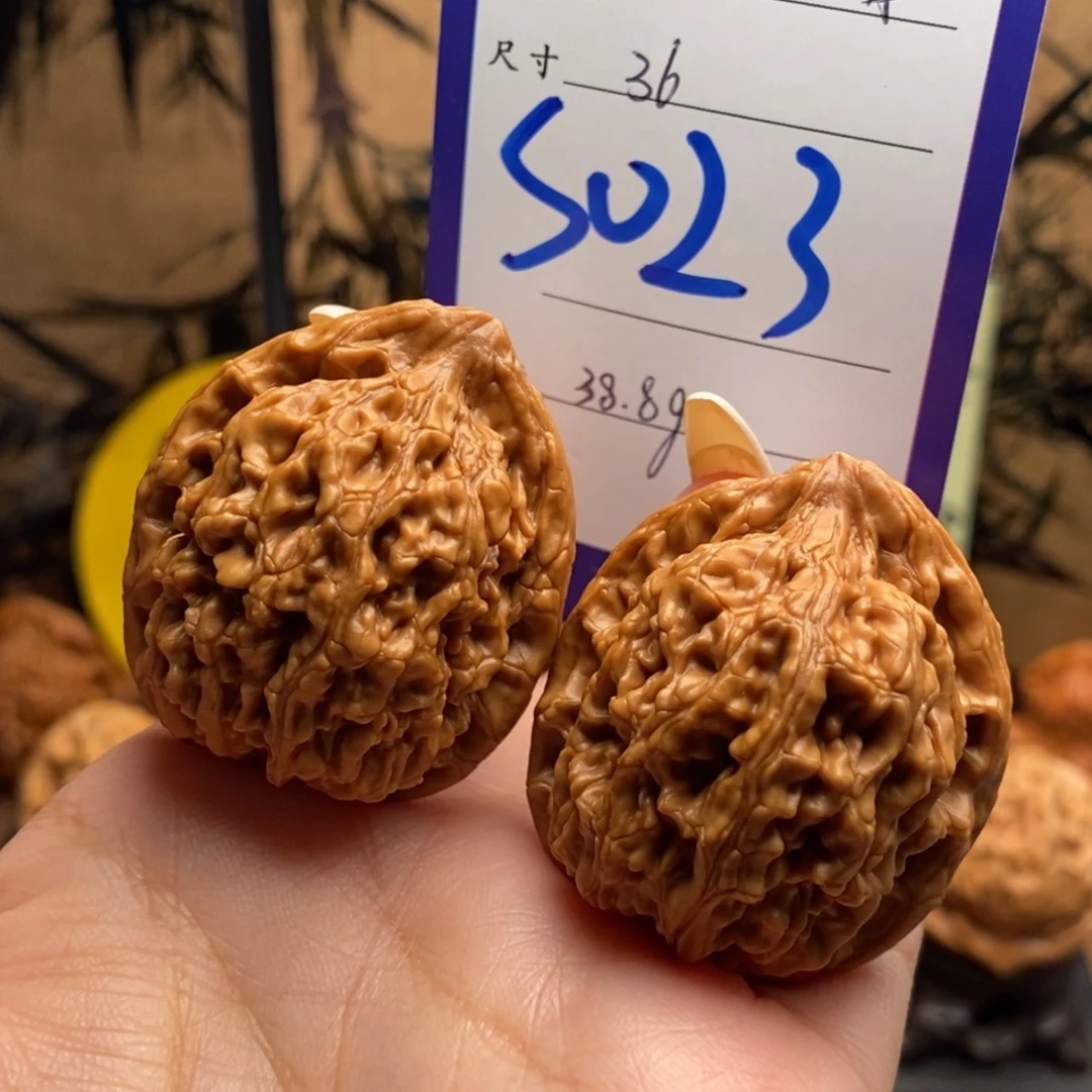 把件文玩核桃粗筋蚂蚁王36