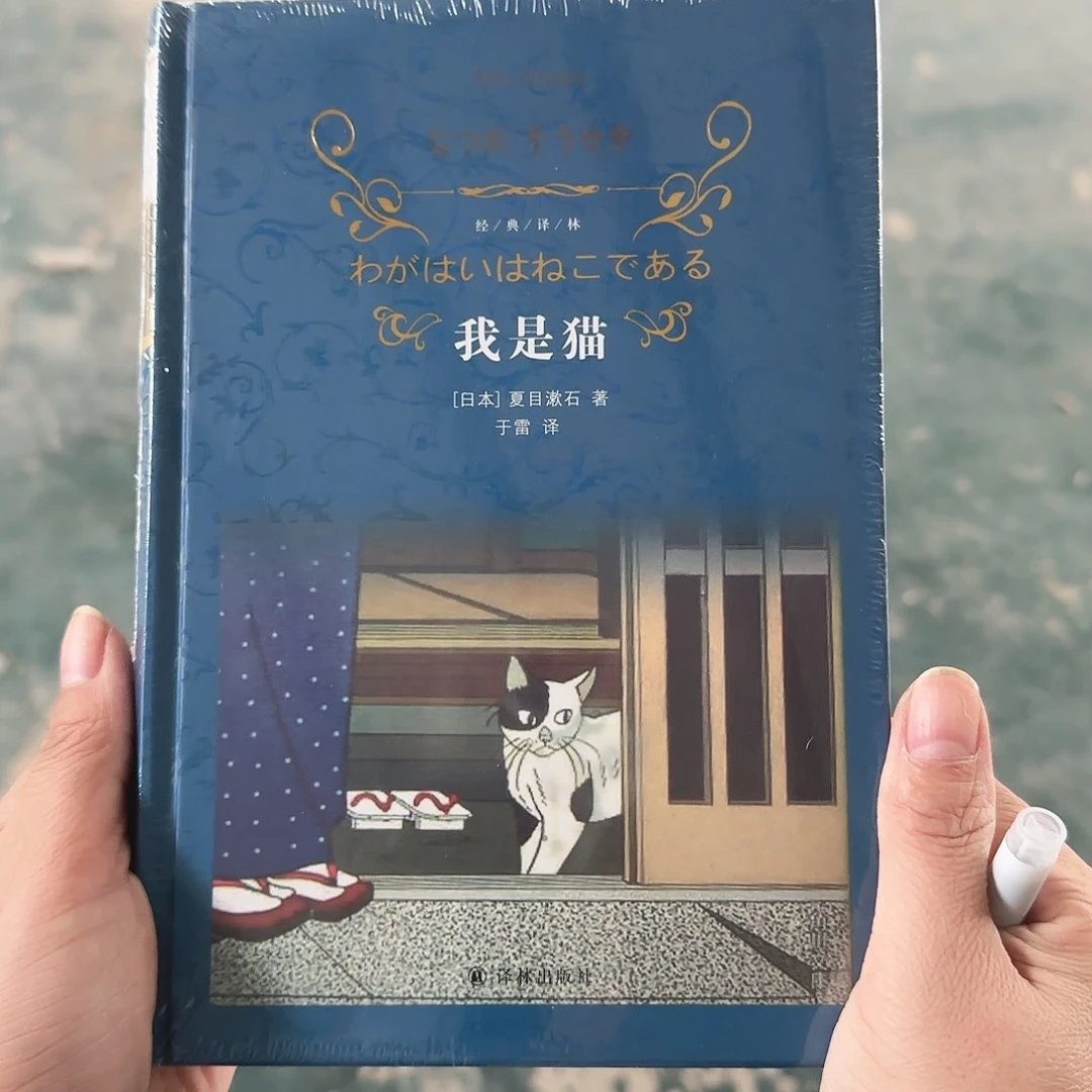 我是猫闪购闪购闪购