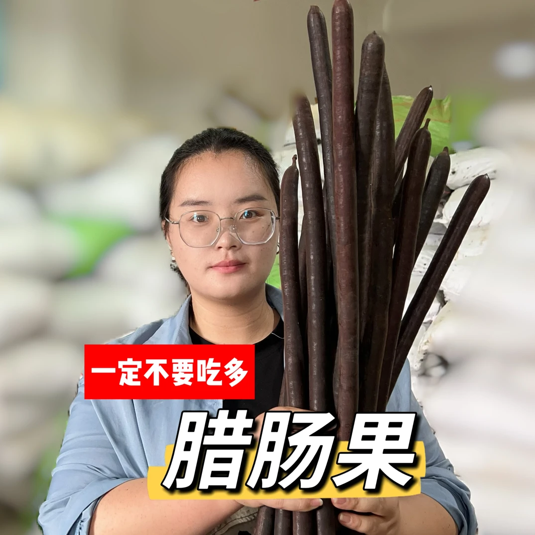 （腊肠果）云南山货新货现发泡水煮水直接吃            非百合