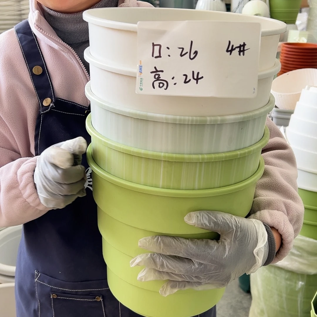 瑕疵多孔4#混色5个无托