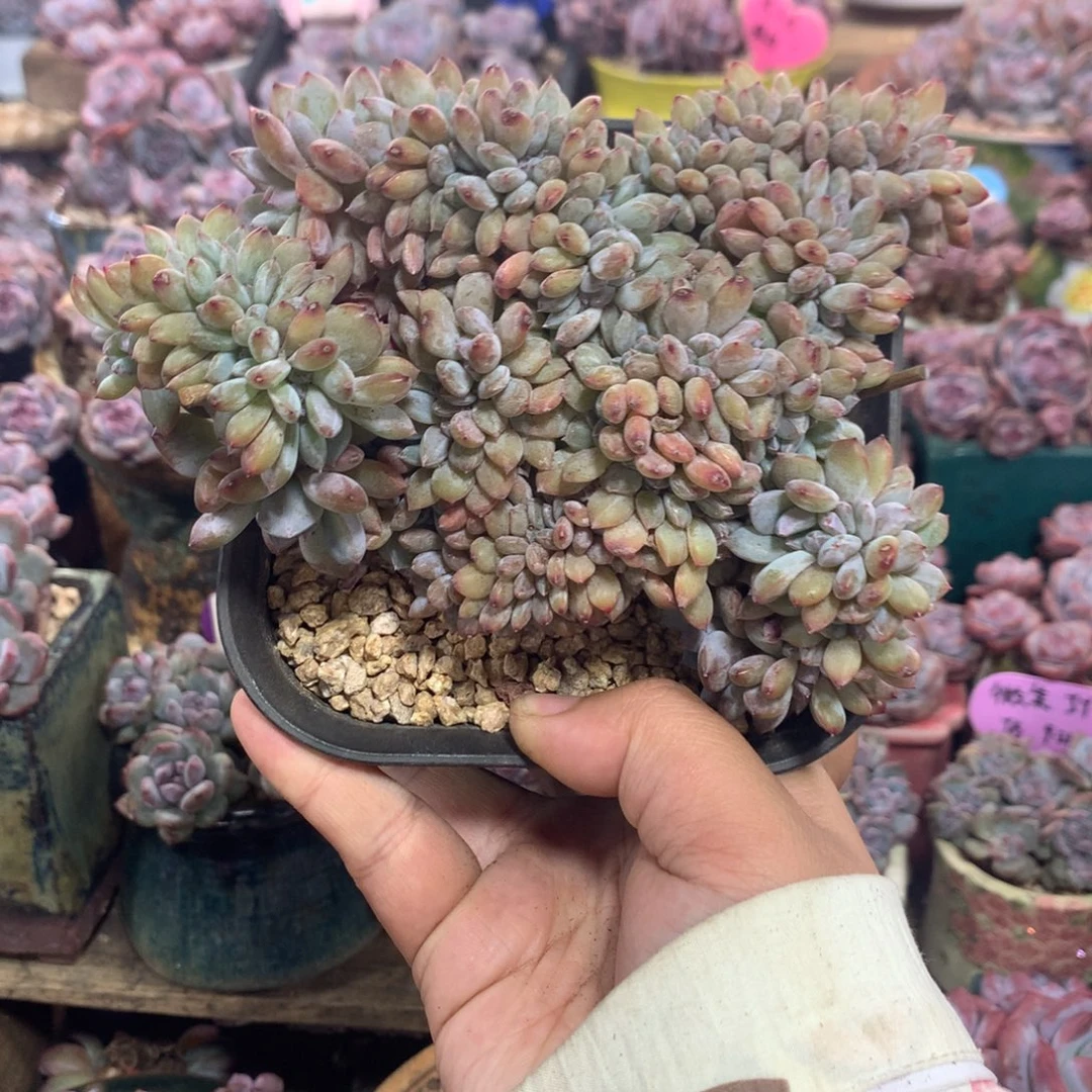 哈哈哈哈哈哈哈哈哈