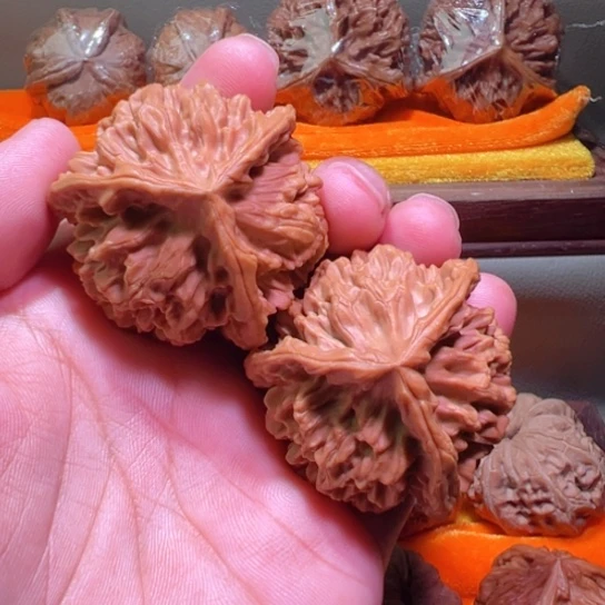 龙鳞纹小龙头大奔嘎嘎正46+边43高全品