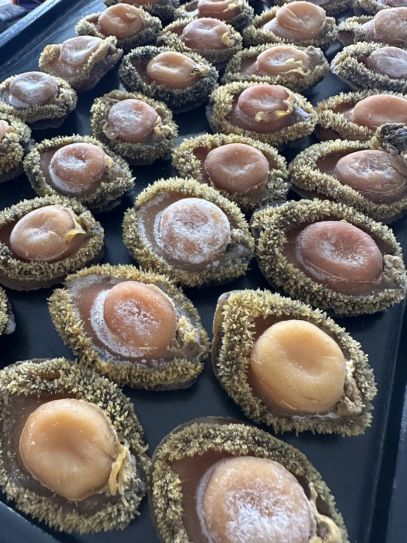 20-22头精选南非干鲍 香醇 软糯