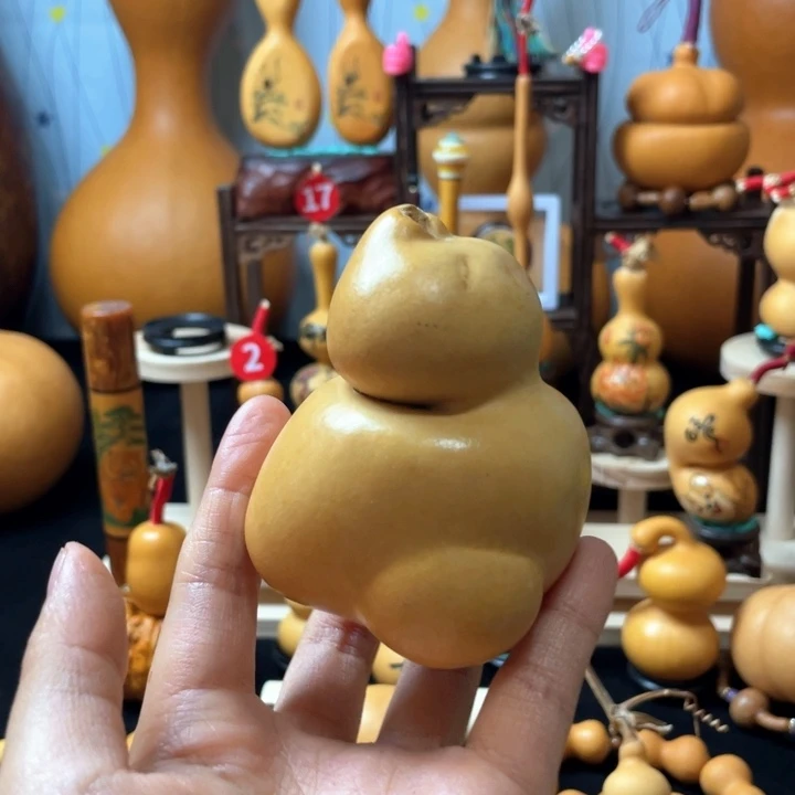 王*珠葫芦丝独奏演员演技还是那么