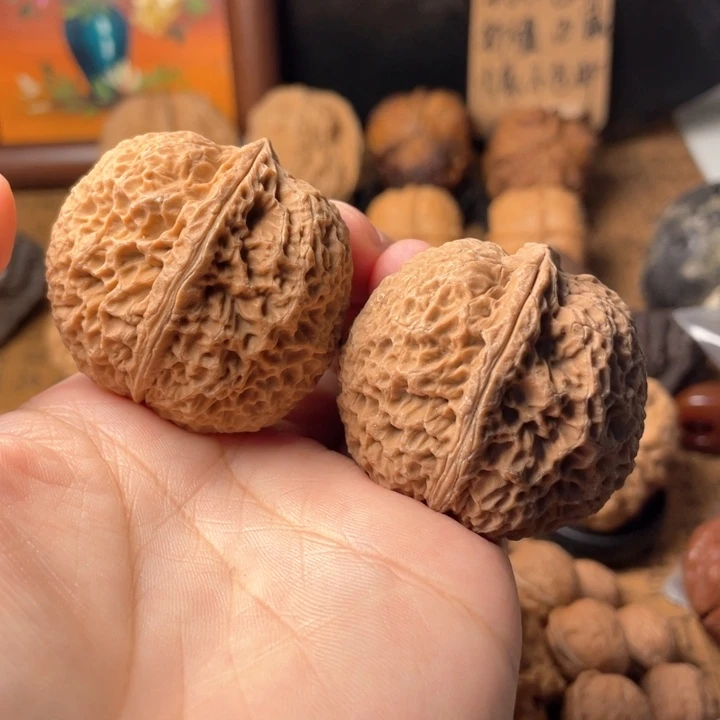 今***呢云南野生铁核桃编号97