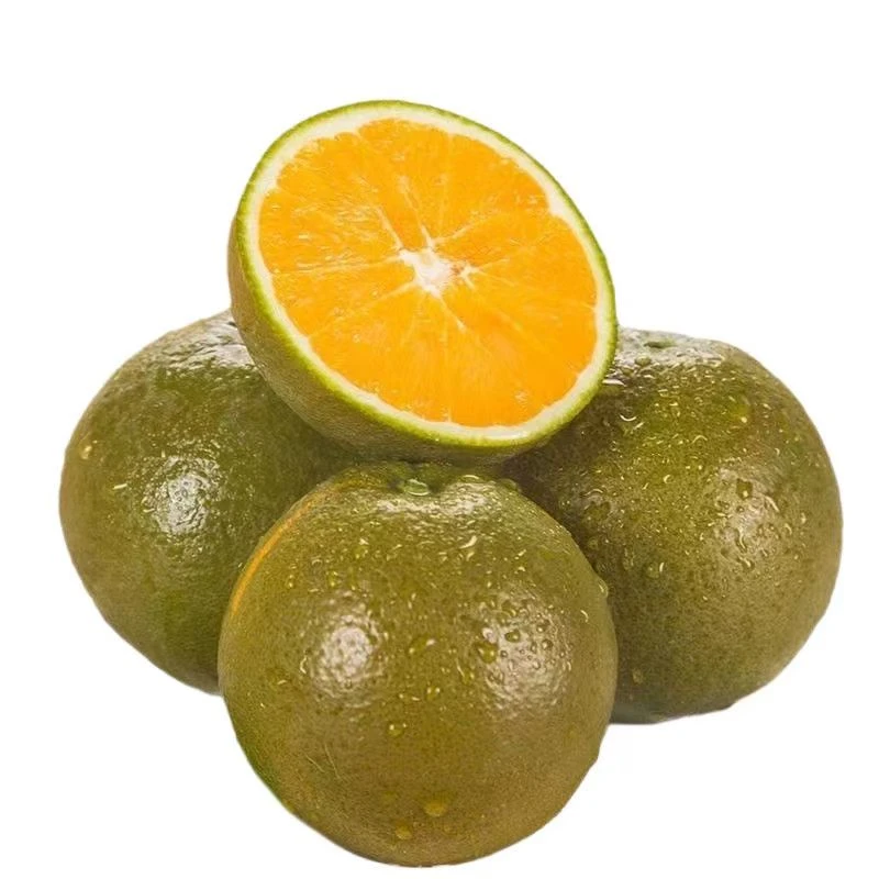 【黑吉内青】湖北秭归黑美人巧克力棕橙5斤/9斤装应季现摘新鲜橙子