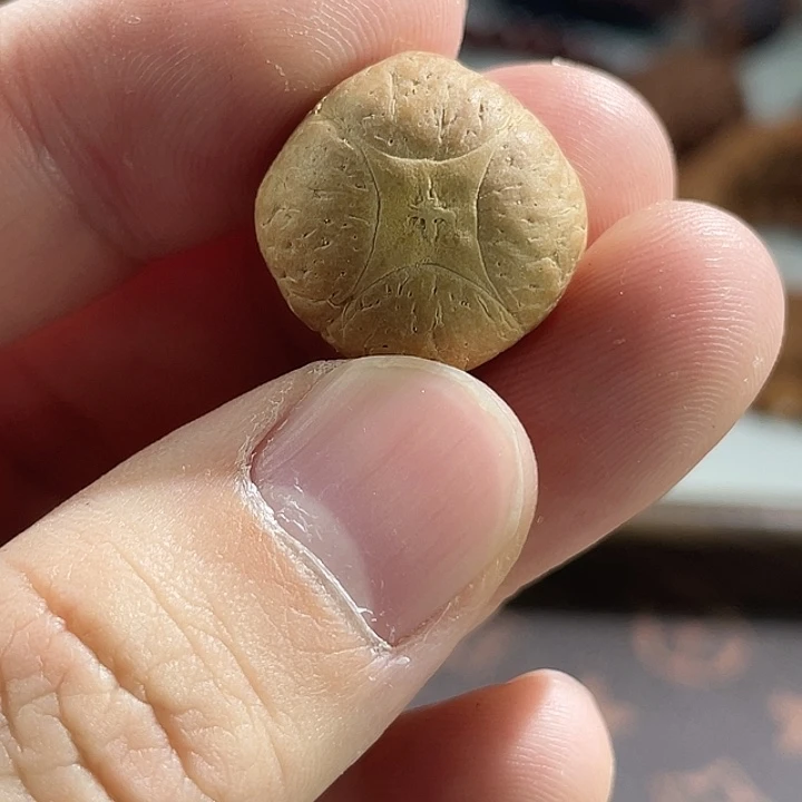 手串凤眼菩提尼泊尔小凤眼