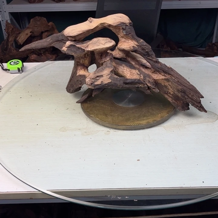 ζ***゛不是你说了什么都可以