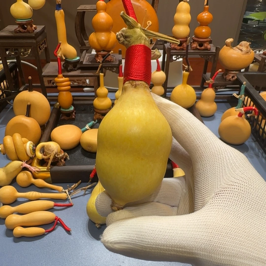 起***名葫芦是公公公公公公公公公公公公公公好