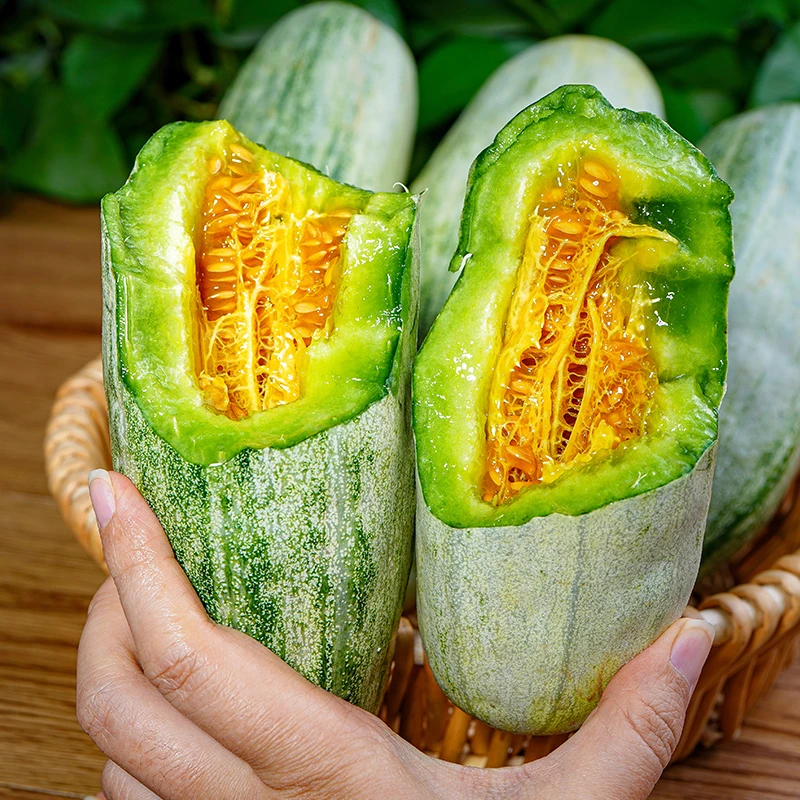 TY山东正宗羊角蜜甜瓜当季现摘孕妇水果应季脆甜甜瓜