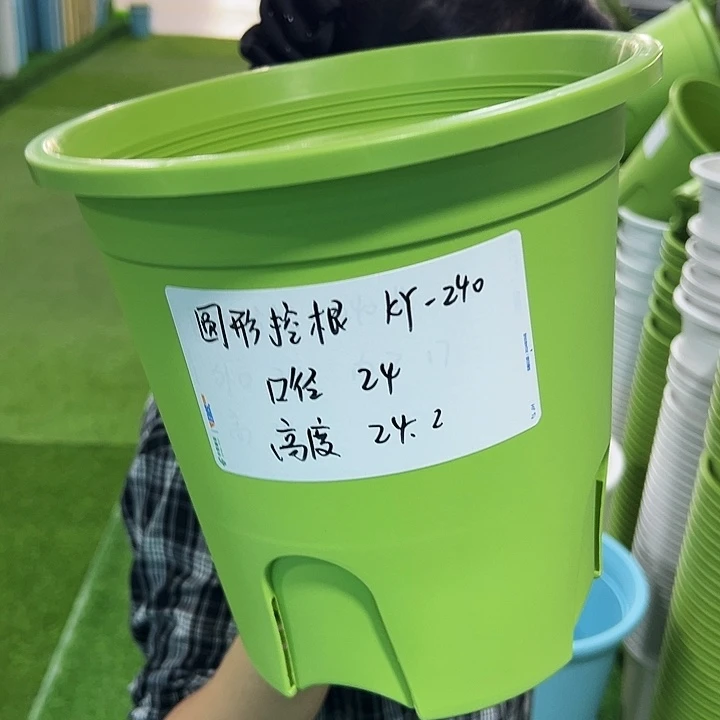 正品圆控口24高24果绿无托8只