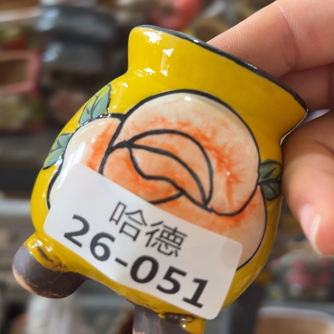 瑕疵2651 拍满18.8元包邮发货