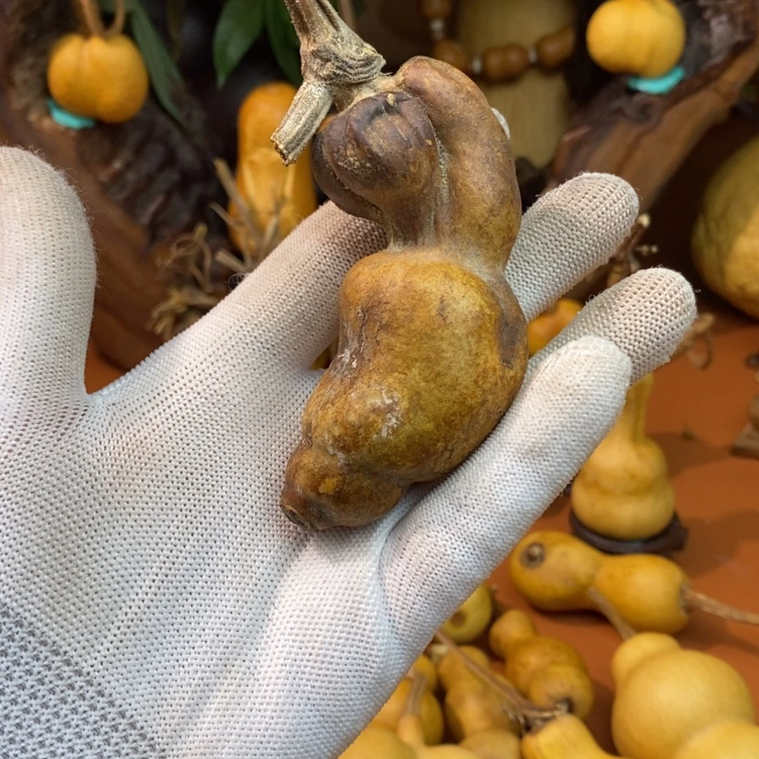 文***良哭了考虑考虑教练咯